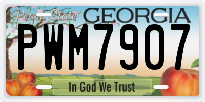 GA license plate PWM7907
