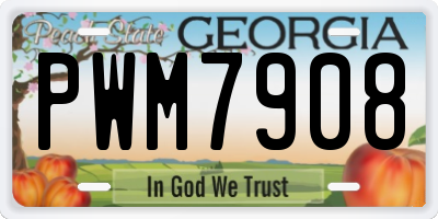 GA license plate PWM7908