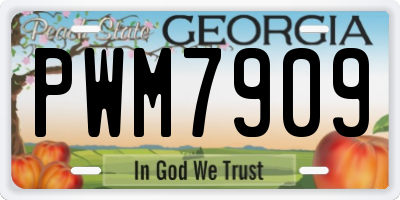 GA license plate PWM7909