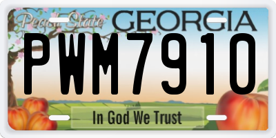 GA license plate PWM7910