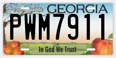 GA license plate PWM7911