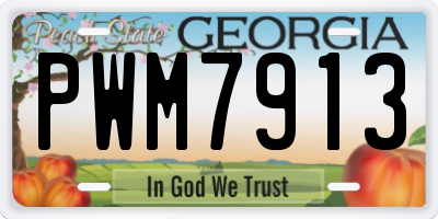 GA license plate PWM7913