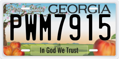 GA license plate PWM7915