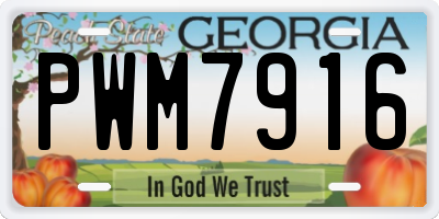 GA license plate PWM7916