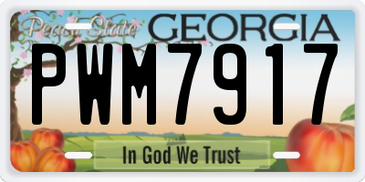 GA license plate PWM7917