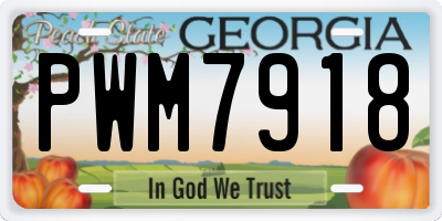 GA license plate PWM7918