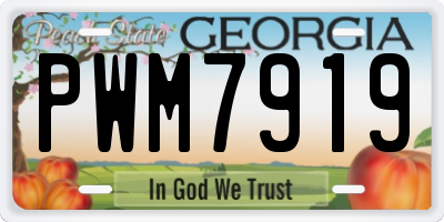 GA license plate PWM7919