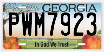 GA license plate PWM7923