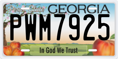 GA license plate PWM7925