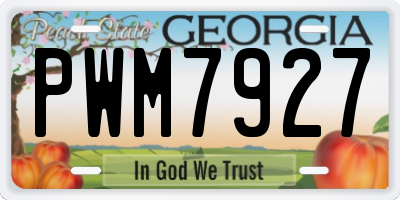 GA license plate PWM7927