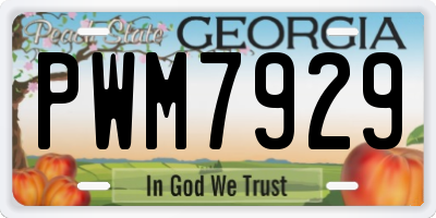 GA license plate PWM7929