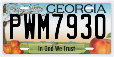 GA license plate PWM7930