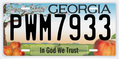 GA license plate PWM7933