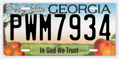 GA license plate PWM7934