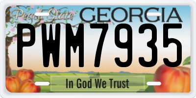 GA license plate PWM7935