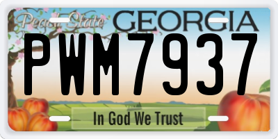 GA license plate PWM7937