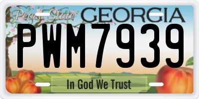 GA license plate PWM7939