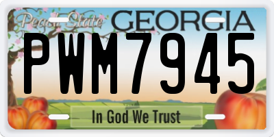GA license plate PWM7945