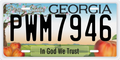 GA license plate PWM7946
