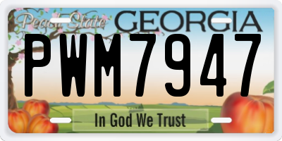 GA license plate PWM7947
