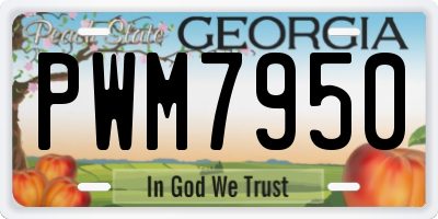 GA license plate PWM7950