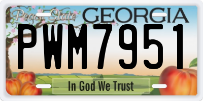 GA license plate PWM7951