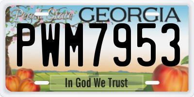 GA license plate PWM7953