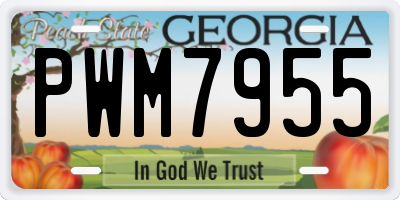 GA license plate PWM7955
