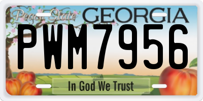 GA license plate PWM7956