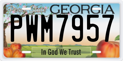 GA license plate PWM7957