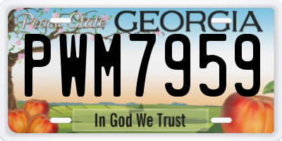 GA license plate PWM7959