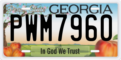 GA license plate PWM7960