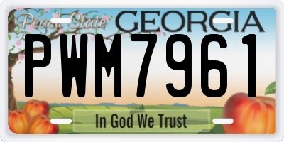 GA license plate PWM7961