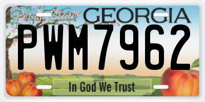 GA license plate PWM7962