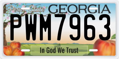 GA license plate PWM7963