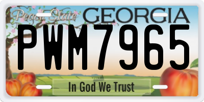 GA license plate PWM7965