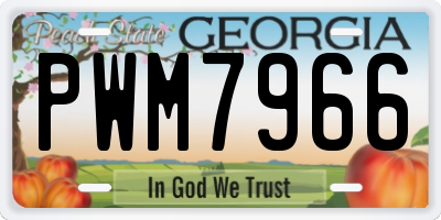 GA license plate PWM7966