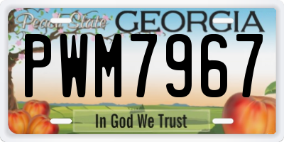 GA license plate PWM7967