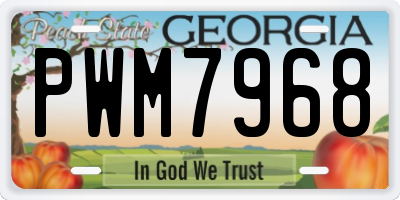 GA license plate PWM7968