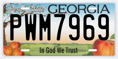GA license plate PWM7969