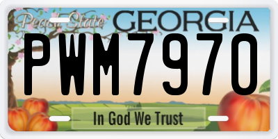GA license plate PWM7970