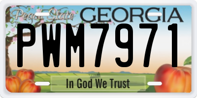 GA license plate PWM7971