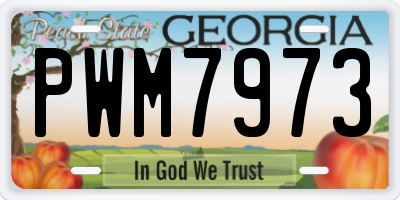 GA license plate PWM7973