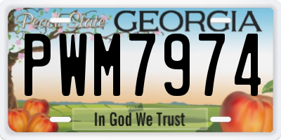 GA license plate PWM7974