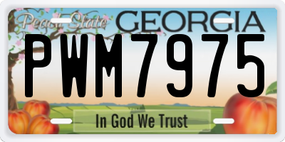 GA license plate PWM7975