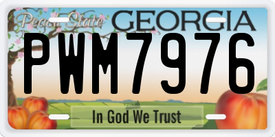 GA license plate PWM7976