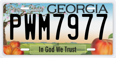 GA license plate PWM7977