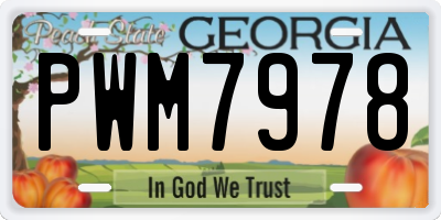 GA license plate PWM7978