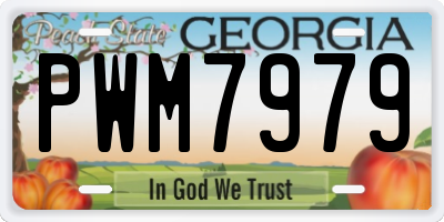 GA license plate PWM7979