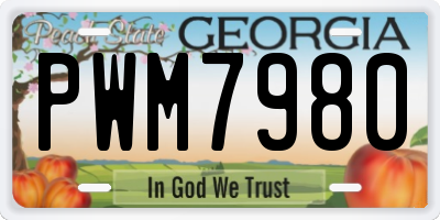 GA license plate PWM7980